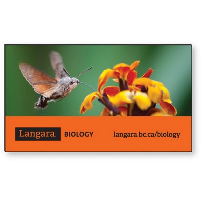 Stock Rectangle Shape .035 Memo Magnet (2"x3 1/2") High Resolution Full Colour Imprint